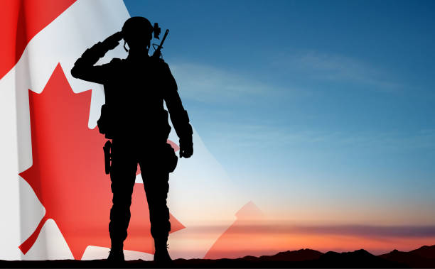 sylwetka salutującego żołnierza z flagą kanady - canadian culture stock illustrations