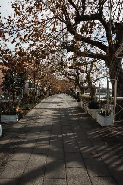 istock Vertical shot of an empty promenade in a park 1461314834