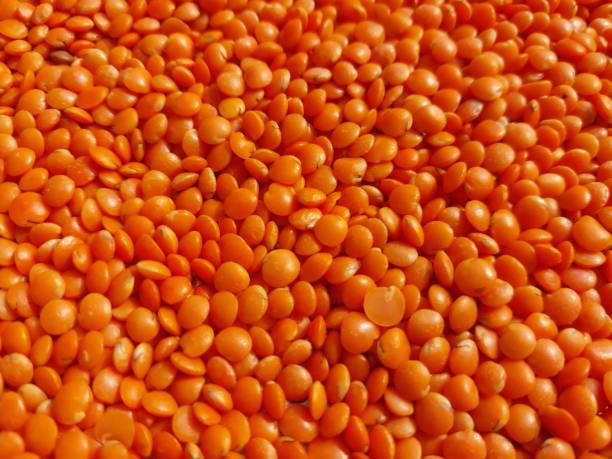 close-up image of lentils. legumes - lentil full frame macro close up imagens e fotografias de stock