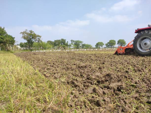 istock Agriculture land with tractor 1461323045