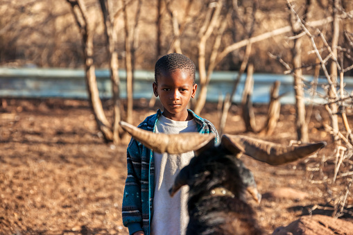 Village African child together with a male goat in the bush