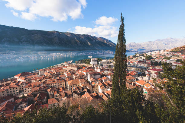 kotor, czarnogóra, piękny górny panoramiczny widok na stare średniowieczne miasto miasta kotor widziane z san giovanni twierdza św. jana, z adriatykiem, zatoką kotorską i alpami dynarskimi w słoneczny dzień - montenegro kotor bay fjord town zdjęcia i obrazy z banku zdjęć