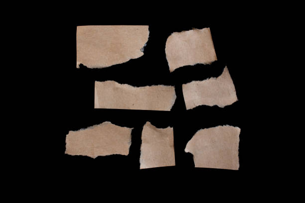 istock Set of torn paper piece isolated on black background 1461328920