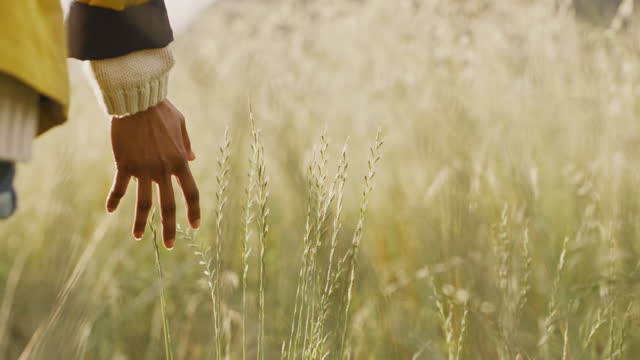 Hand, wheat and walking with an indian woman outdoor in nature with mockup to enjoy travel or hiking. Grass, spring and environment with a female taking a walk in a countryside field in summer