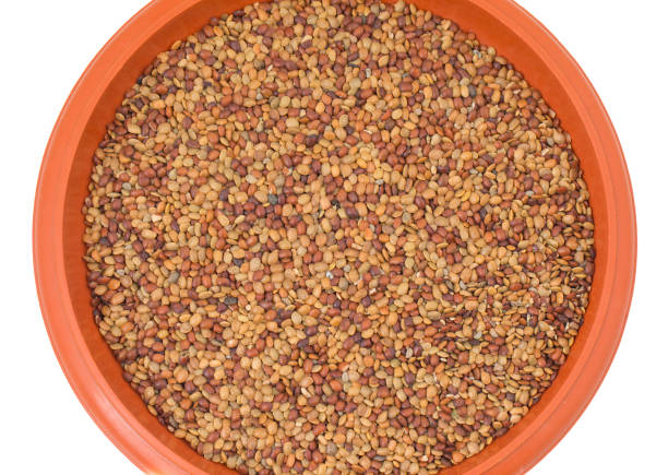 handful of parrot food on white isolated background.
