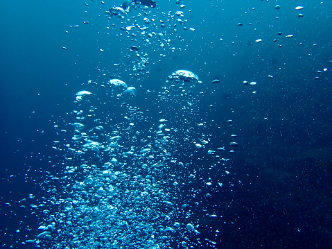 Air bubbles under water. Air bubbles rise up in the water column.