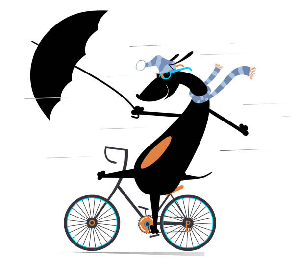 雨と風の強い日と犬が自転車のイラストに乗る - bicycle isolated white background cycling点のイラスト素材／クリップアート素材／マンガ素材／アイコン素材