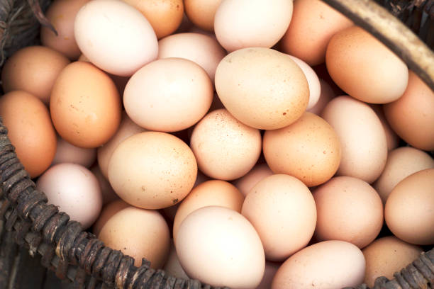 istock heap of organic eggs 1461336392