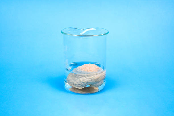 Brain under water, subconscious mind influences most powerful inner forces which drive human behavior, influences to lifemost compelling mental life and brainstorming abstract idea.