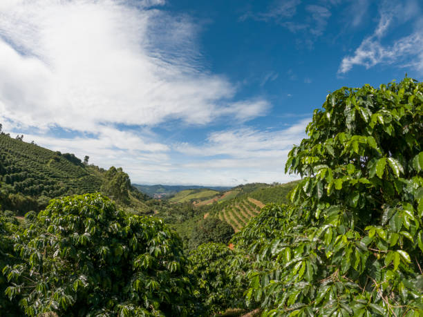 istock Landscape with mountains and sky - Rural scene 1461344642