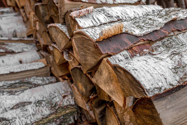 Heating the house in winter. A stack of wood. Firewood from chopped birch. Heat the stove. Chopping firewood. Warm house.