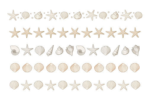 Seashells border divider set. Sea and ocean design template. Vector illustration summer or beach party, advertising design
