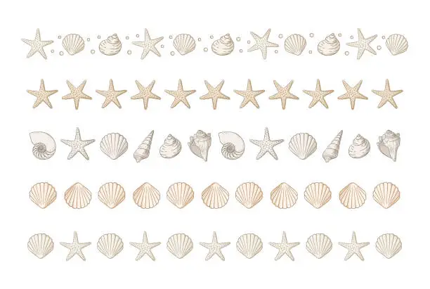 Vector illustration of Seashells border divider set. Sea and ocean design template. Vector illustration summer or beach party, advertising design