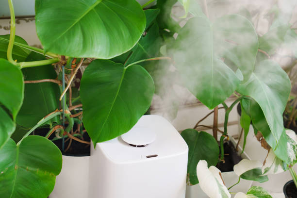 istock a white device for humidifying the air works near indoor plants. 1461353081