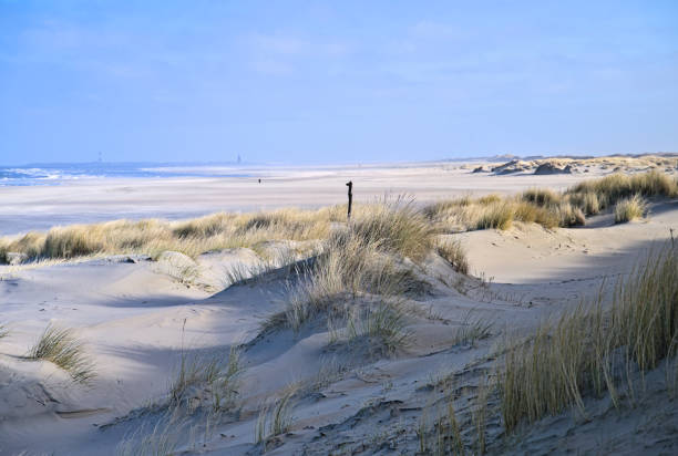 istock lonely beach at the northern sea 1461357909