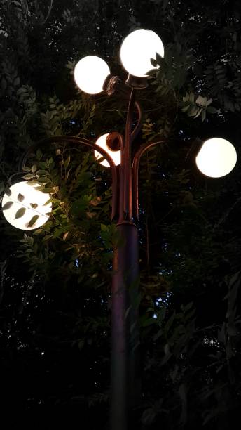 istock Street Lights in a Park, in Trees 1461365864