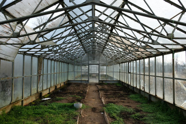 istock Glass abandoned greenhouse 1461370780