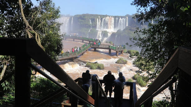 uma passarela das cataratas do iguaçu do lado brasileiro - iguacu national park - fotografias e filmes do acervo