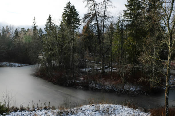 istock View of the river and forest in winter 1461372827