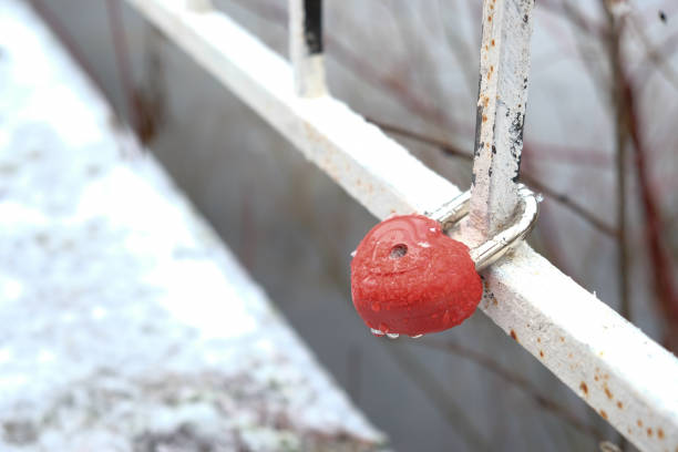 Heart-shaped lock fastened to the bridge