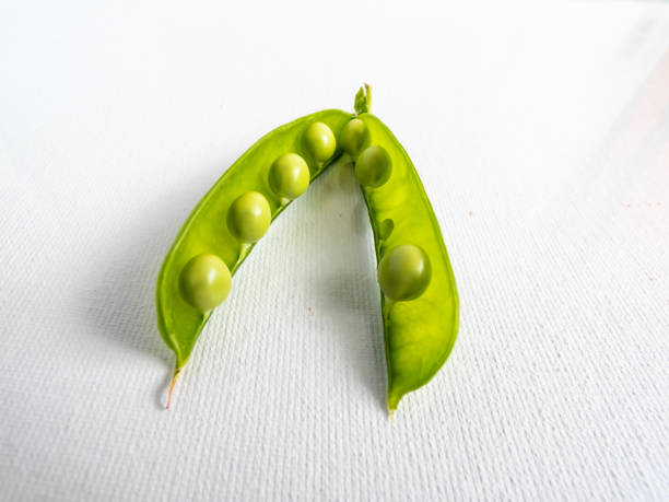 istock Green peas in a pod isolated on white background in bright sunlight 1461374526
