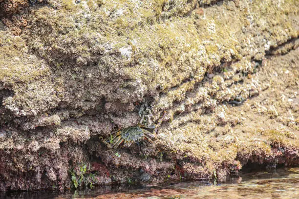 Hluhluwe Imfolozi Park nearby St.Lucia is an amazing natural habitat with lots of different species to see.