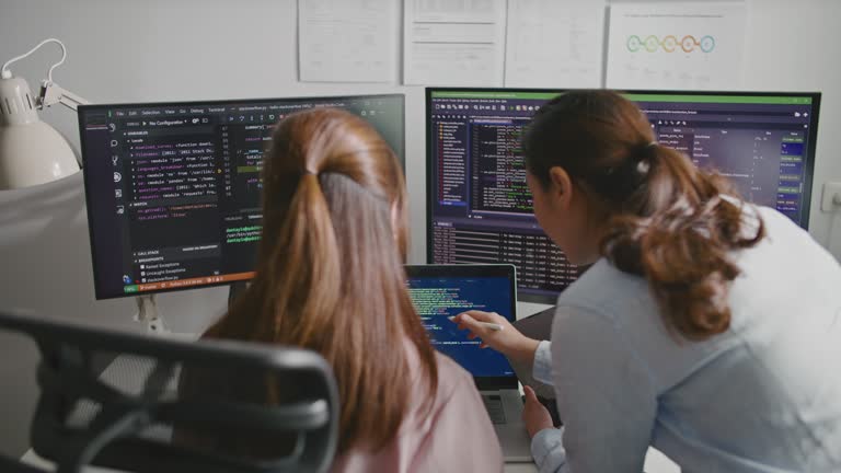 Two Programmer Development Engineers Working on Computers Coding together