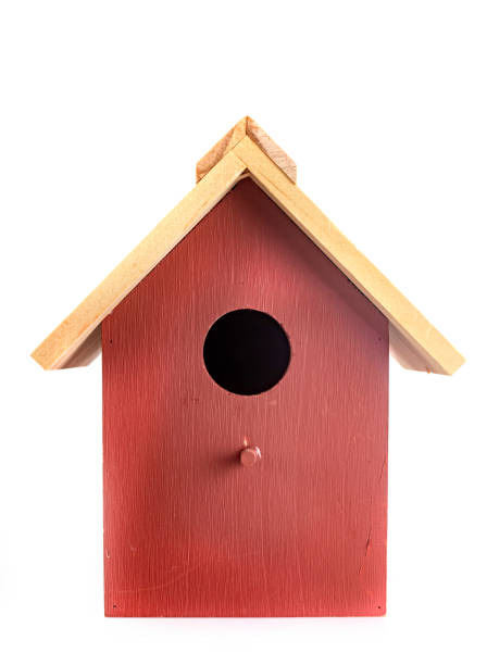 istock wood birdhouse in studio 1461383406