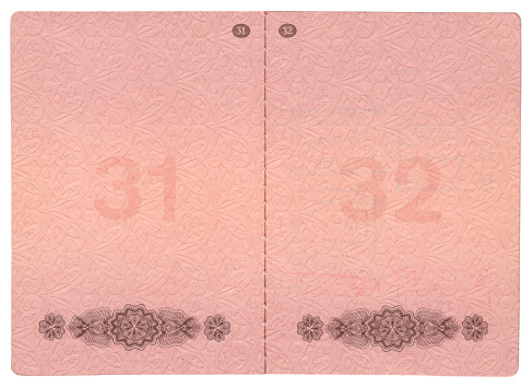 Blank Russian Federation international passport pages