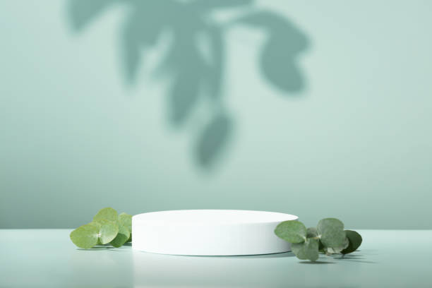 istock Abstract empty white podium with eucalyptus leaves on blue background 1461383674