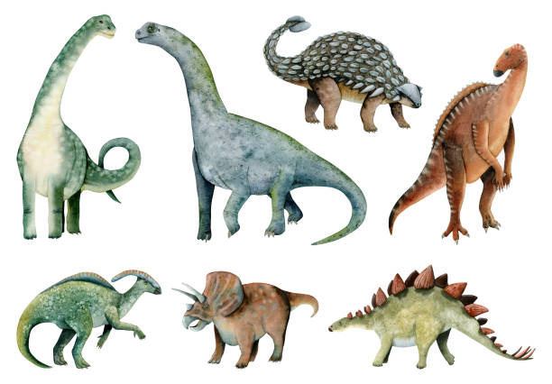 illustrazioni stock, clip art, cartoni animati e icone di tendenza di illustrazioni di dinosauri erbivori ad acquerello, brachiosaurus, ankylosaurus, triceratops, stegosaurus, parasaurolophus - stegosauro