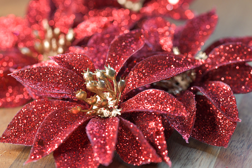 Several artificial poinsettia flower heads red glittery flowers with gold central stamens