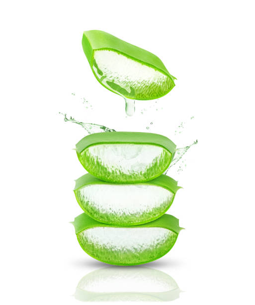 istock Aloe Vera leaf isolated on white background. 1461389129