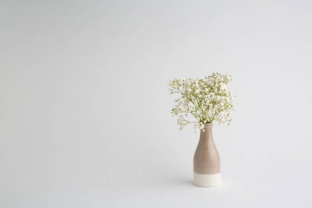 istock Small white flowers on a white background. Soft home decor. White flowers in a vase. 1461389366