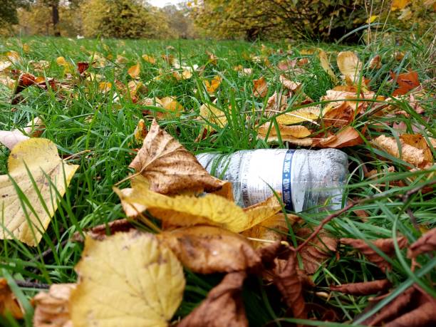 Autumn leaves on the ground with the bottle.