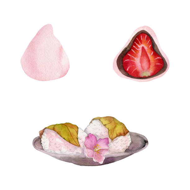 Watercolor hand drawn traditional Japanese sweets. Spring wagashi, sakura mochi, daifuku, cherry. Isolated on white background. Design for invitations, restaurant menu, greeting cards, print, textile Watercolor hand drawn traditional Japanese sweets. Spring wagashi, sakura mochi, daifuku, cherry. Isolated on white background. Design for invitations, restaurant menu, greeting cards, print, textile. food sample cups stock illustrations