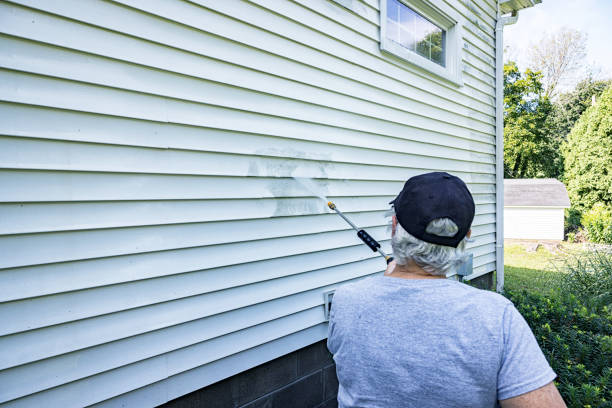 Senior Woman Homeowner Diy Power Washing House Vinyl Siding Stock Photo - Download Image Now - iStock