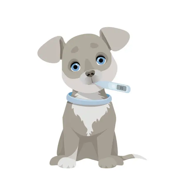 Vector illustration of Gray puppy sick