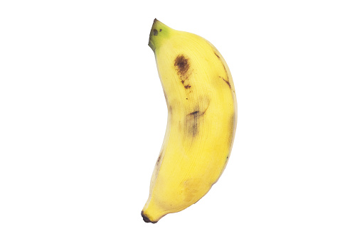 Conceptual  image of half ripe banana bunch showing different stages