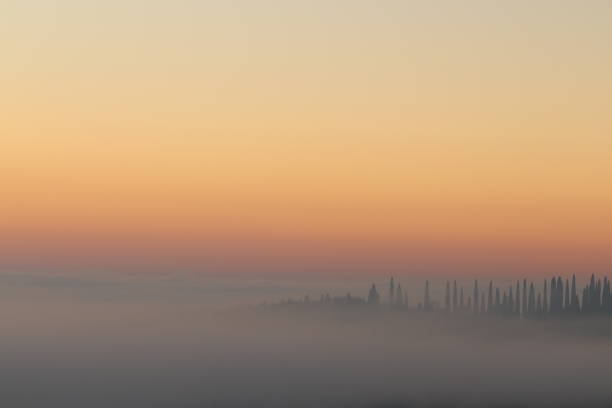 Landscape at sunrise with cypresses and fog in winter