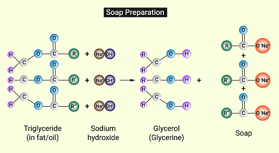 Soap Preparation: Atomic representation of Saponification reaction