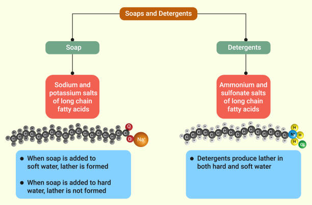 mydła to sole sodowe lub potasowe kwasów tłuszczowych, które powstają w wyniku hydrolizy tłuszczów i olejów. - hydrolysis stock illustrations