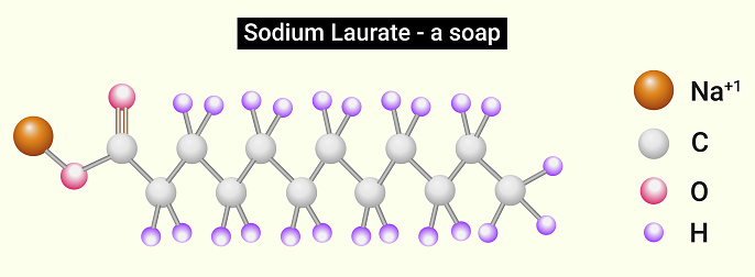 Structure of Sodium Laurate (soap)