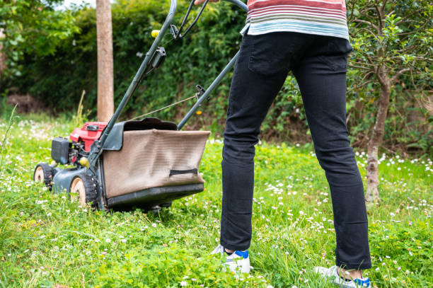 istock teenage doing summer job 1461410469