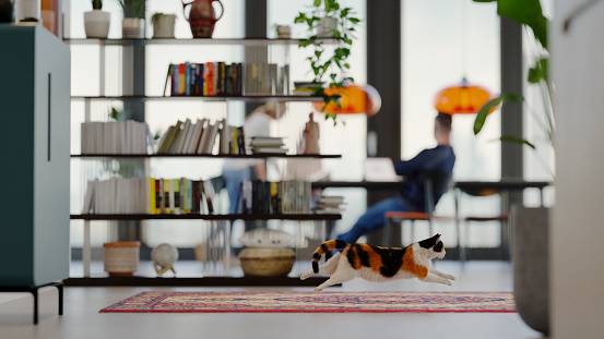 Playful cat running in a modern home. All objects in the scene are 3D