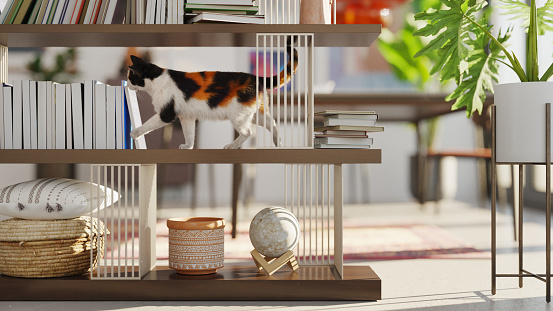 Modern home interior, a cat is playing on the bookshelf