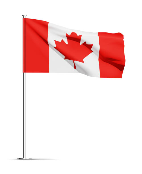 kanada flagge, isoliert auf weißem hintergrund - canadian flag canada flag freedom stock-grafiken, -clipart, -cartoons und -symbole