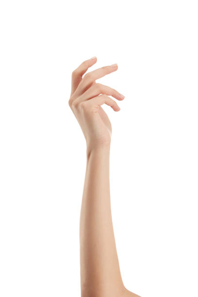 Beautiful Female Hand With Open Palm Isolated On White Background