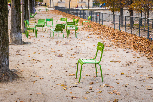 Green chairs of the Tuileries garden in Paris, France in Autumn
