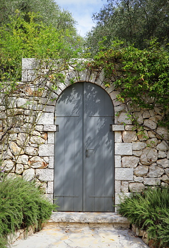 A wooden door in a small mountain village twined on top with vines . Garden desing .